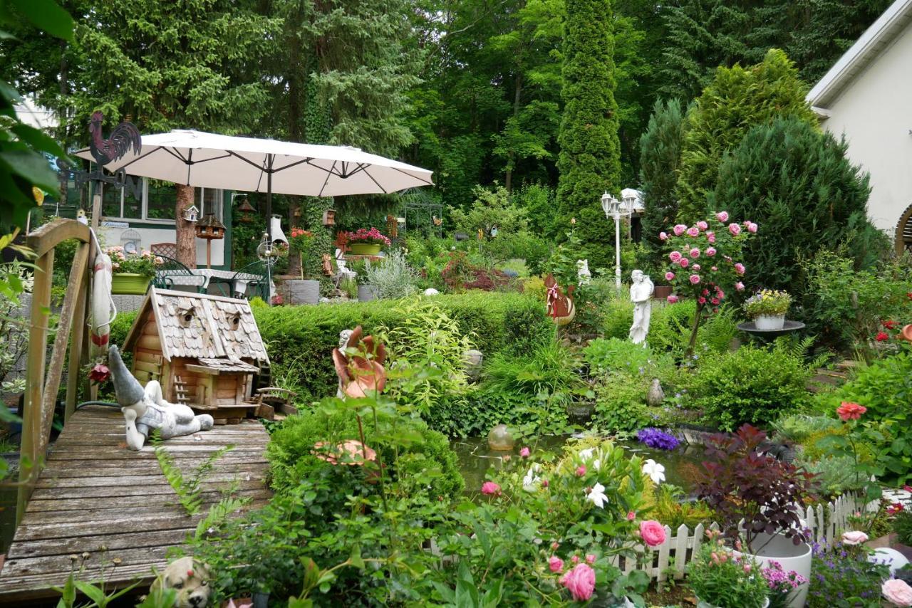 Wohlfuehlhotel Saxonia 3*